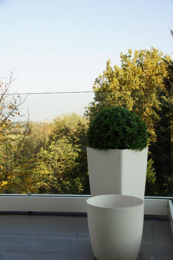 Casa Carla La Suite, Con Vista Del Verde Dei Colli Bolognesi 사소마르코니 외부 사진